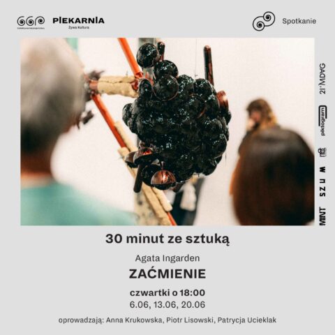 Piekarnia żywa kultura 66P